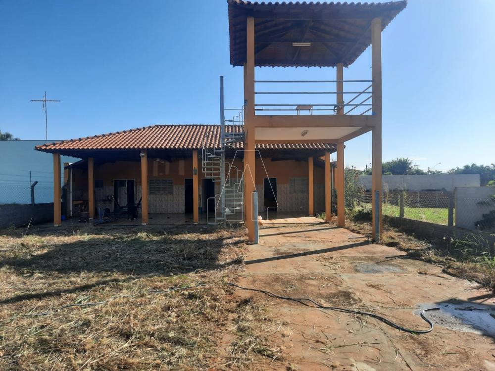 Alugar Rural / Rancho Condom&iacute;nio em Ara&ccedil;atuba R$ 800,00 - Foto 1