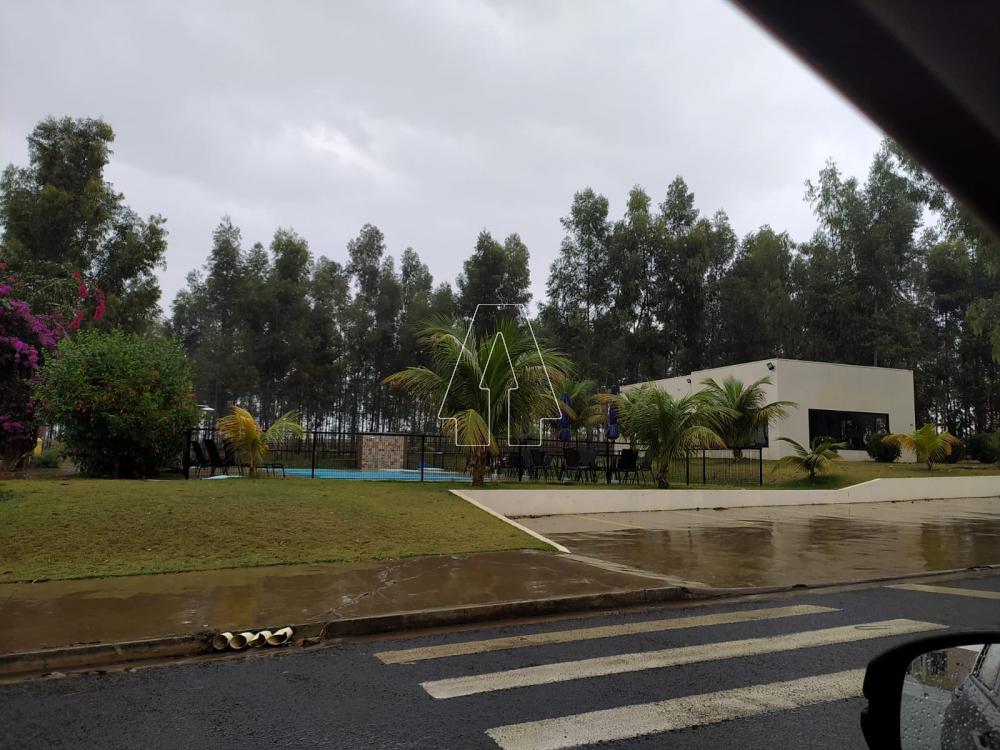 Comprar Terreno / Condom&iacute;nio em Ara&ccedil;atuba R$ 165.000,00 - Foto 1