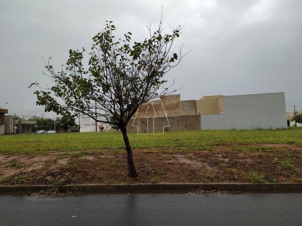 Comprar Terreno / Condom&iacute;nio em Ara&ccedil;atuba R$ 165.000,00 - Foto 2