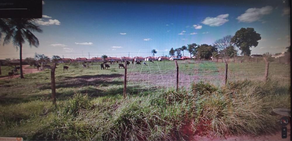Comprar Terreno / &Aacute;rea em Ara&ccedil;atuba R$ 250.000,00 - Foto 1