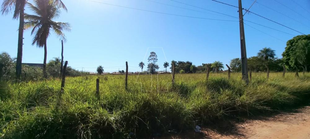 Comprar Terreno / &Aacute;rea em Ara&ccedil;atuba R$ 250.000,00 - Foto 2