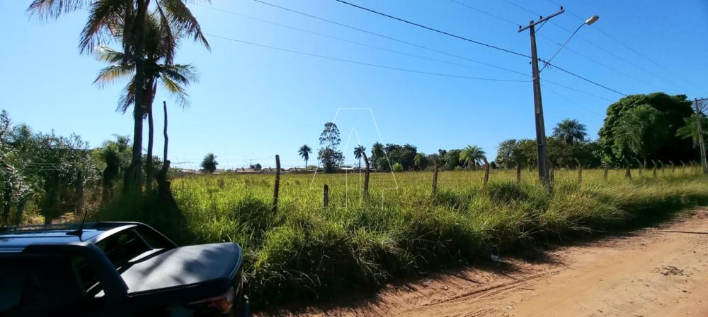 Comprar Terreno / &Aacute;rea em Ara&ccedil;atuba R$ 250.000,00 - Foto 3