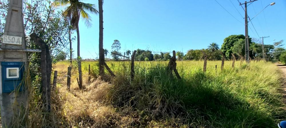 Comprar Terreno / &Aacute;rea em Ara&ccedil;atuba R$ 250.000,00 - Foto 4