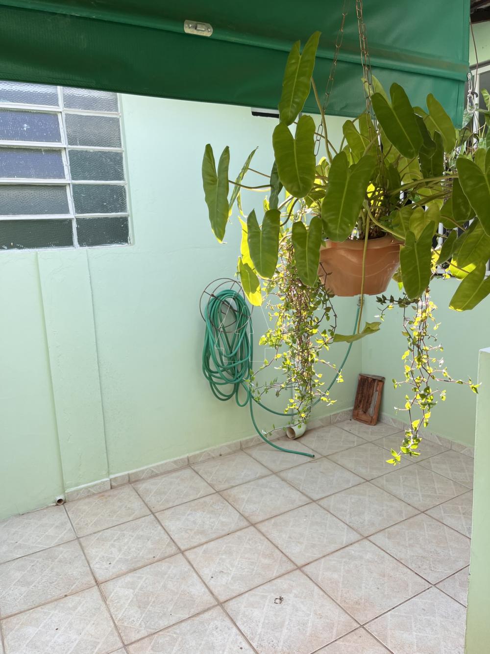 Comprar Casa / Residencial em Ara&ccedil;atuba R$ 340.000,00 - Foto 17
