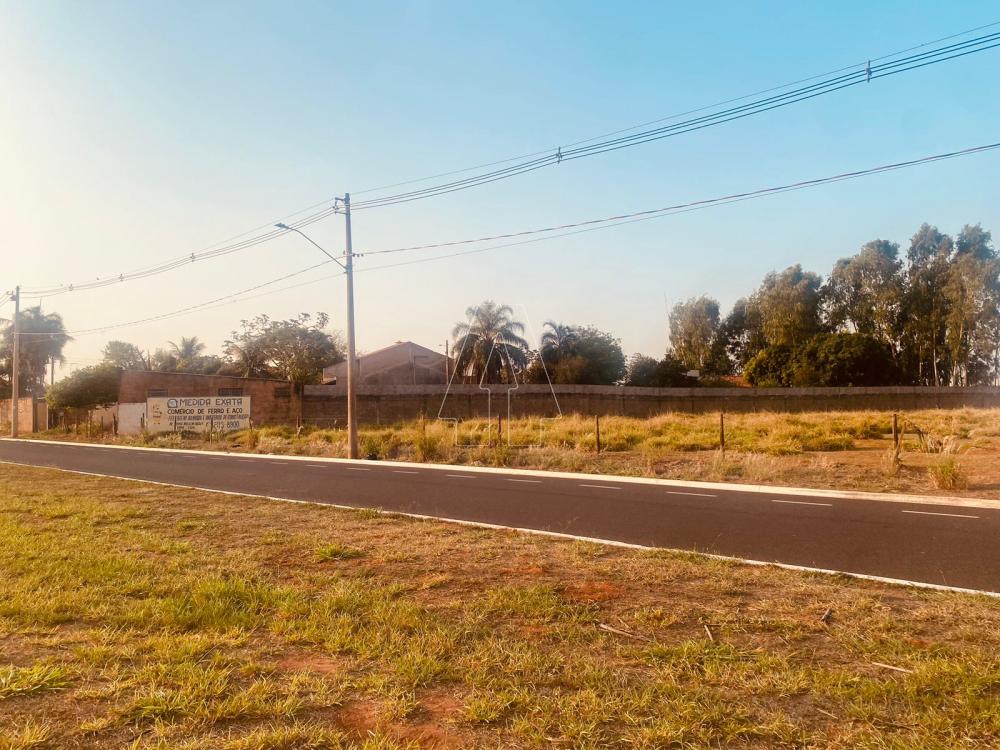 Comprar Terreno / &Aacute;rea em Ara&ccedil;atuba R$ 2.895.000,00 - Foto 2