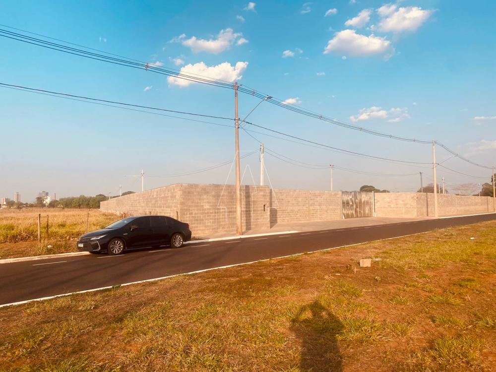 Comprar Terreno / &Aacute;rea em Ara&ccedil;atuba R$ 2.895.000,00 - Foto 3