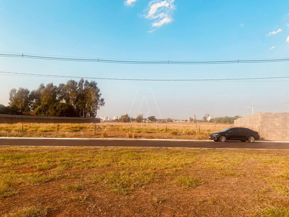 Comprar Terreno / &Aacute;rea em Ara&ccedil;atuba R$ 2.895.000,00 - Foto 4