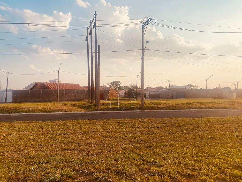 Comprar Terreno / &Aacute;rea em Ara&ccedil;atuba R$ 2.895.000,00 - Foto 7