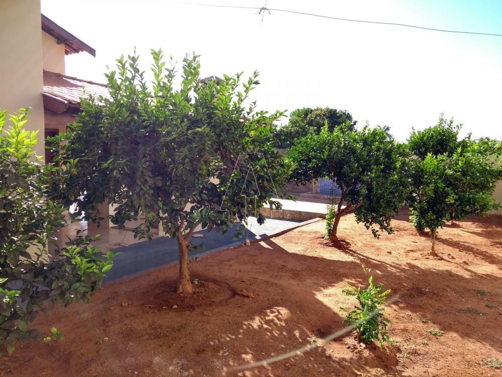 Comprar Rural / Rancho Condom&iacute;nio em Santo Ant&ocirc;nio do Aracangu&aacute; R$ 550.000,00 - Foto 10