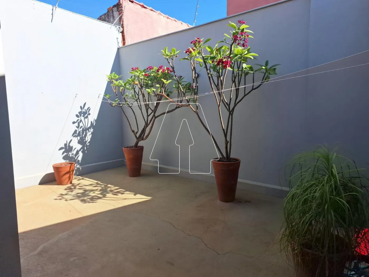 Comprar Casa / Residencial em Ara&ccedil;atuba R$ 550.000,00 - Foto 15
