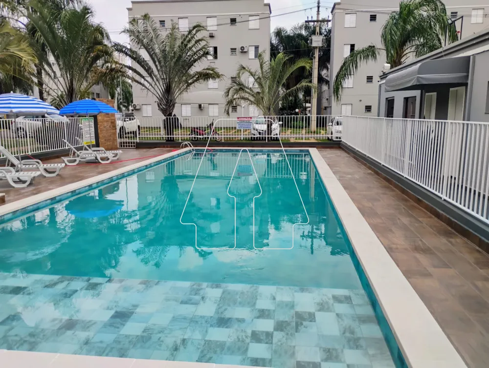 Comprar Apartamento / Padr&atilde;o em Ara&ccedil;atuba R$ 150.000,00 - Foto 15