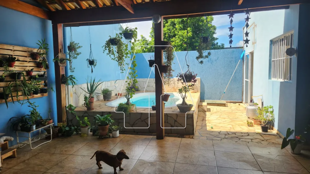 Comprar Casa / Residencial em Ara&ccedil;atuba R$ 290.000,00 - Foto 3