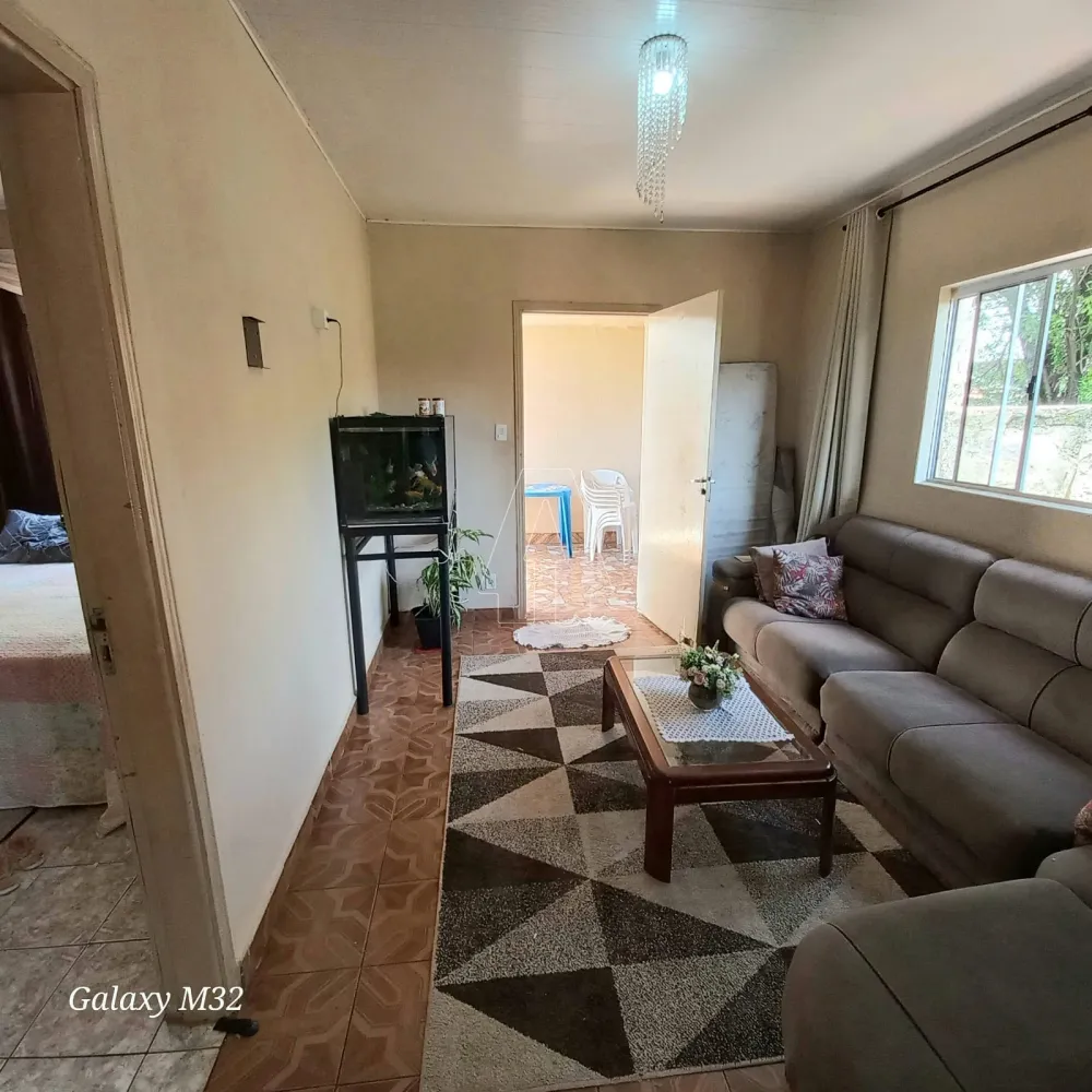 Comprar Casa / Residencial em Ara&ccedil;atuba R$ 380.000,00 - Foto 12