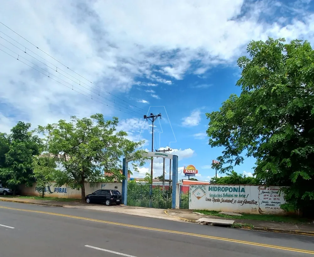 Comprar Terreno / &Aacute;rea em Ara&ccedil;atuba R$ 11.000.000,00 - Foto 3