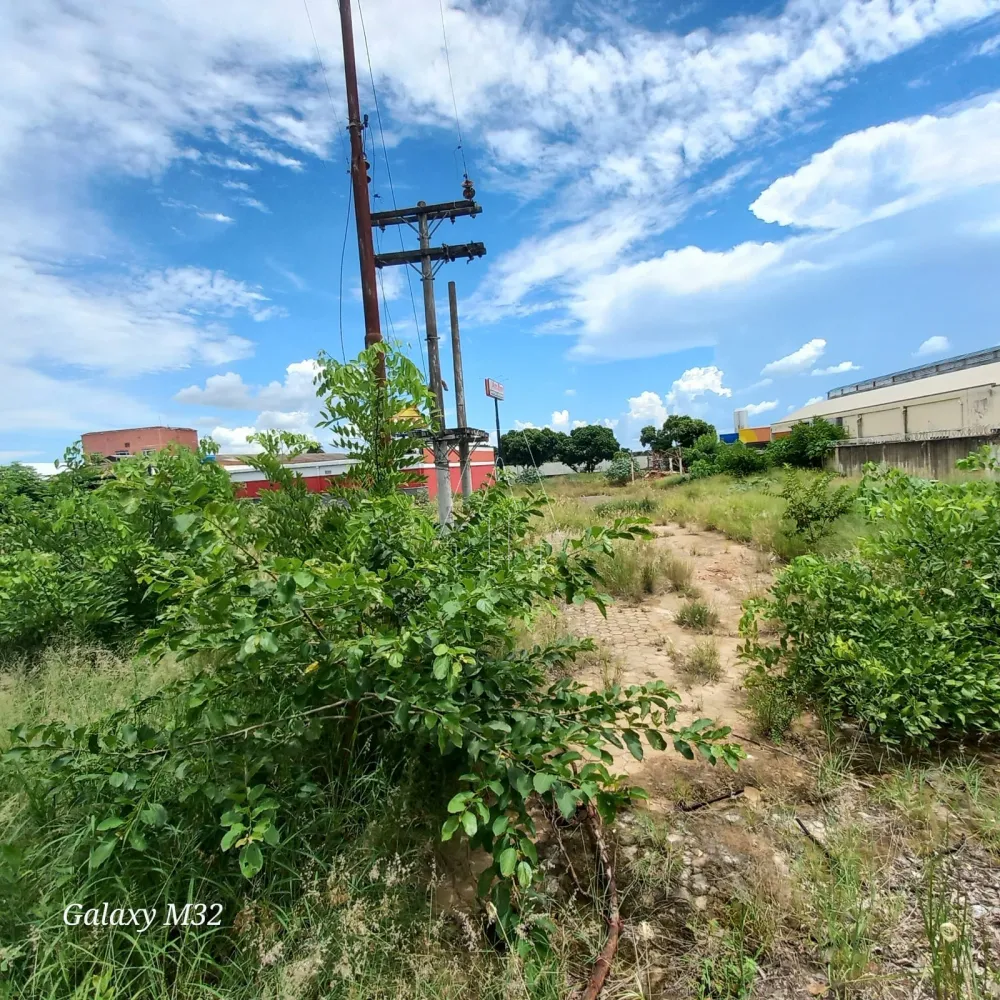 Comprar Terreno / &Aacute;rea em Ara&ccedil;atuba R$ 11.000.000,00 - Foto 6