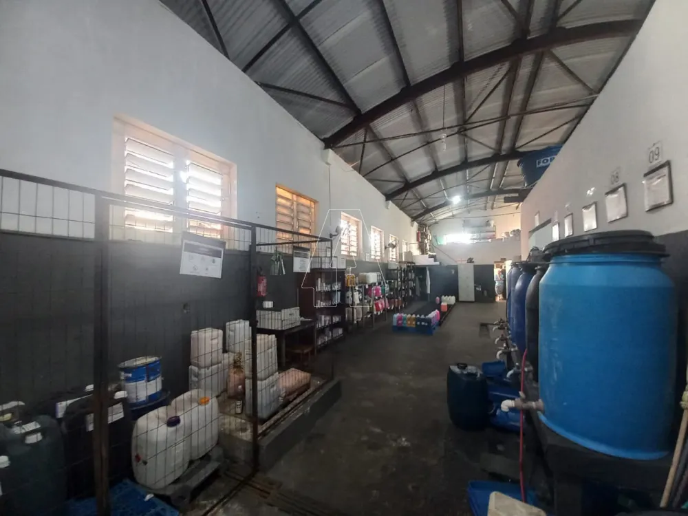 Comprar Comercial / Galp&atilde;o em Ara&ccedil;atuba R$ 350.000,00 - Foto 1