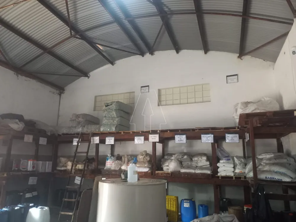 Comprar Comercial / Galp&atilde;o em Ara&ccedil;atuba R$ 350.000,00 - Foto 5