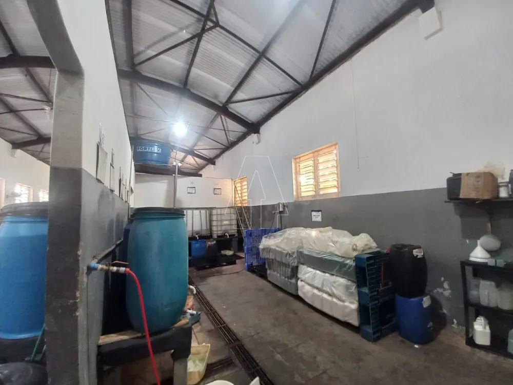 Comprar Comercial / Galp&atilde;o em Ara&ccedil;atuba R$ 350.000,00 - Foto 6