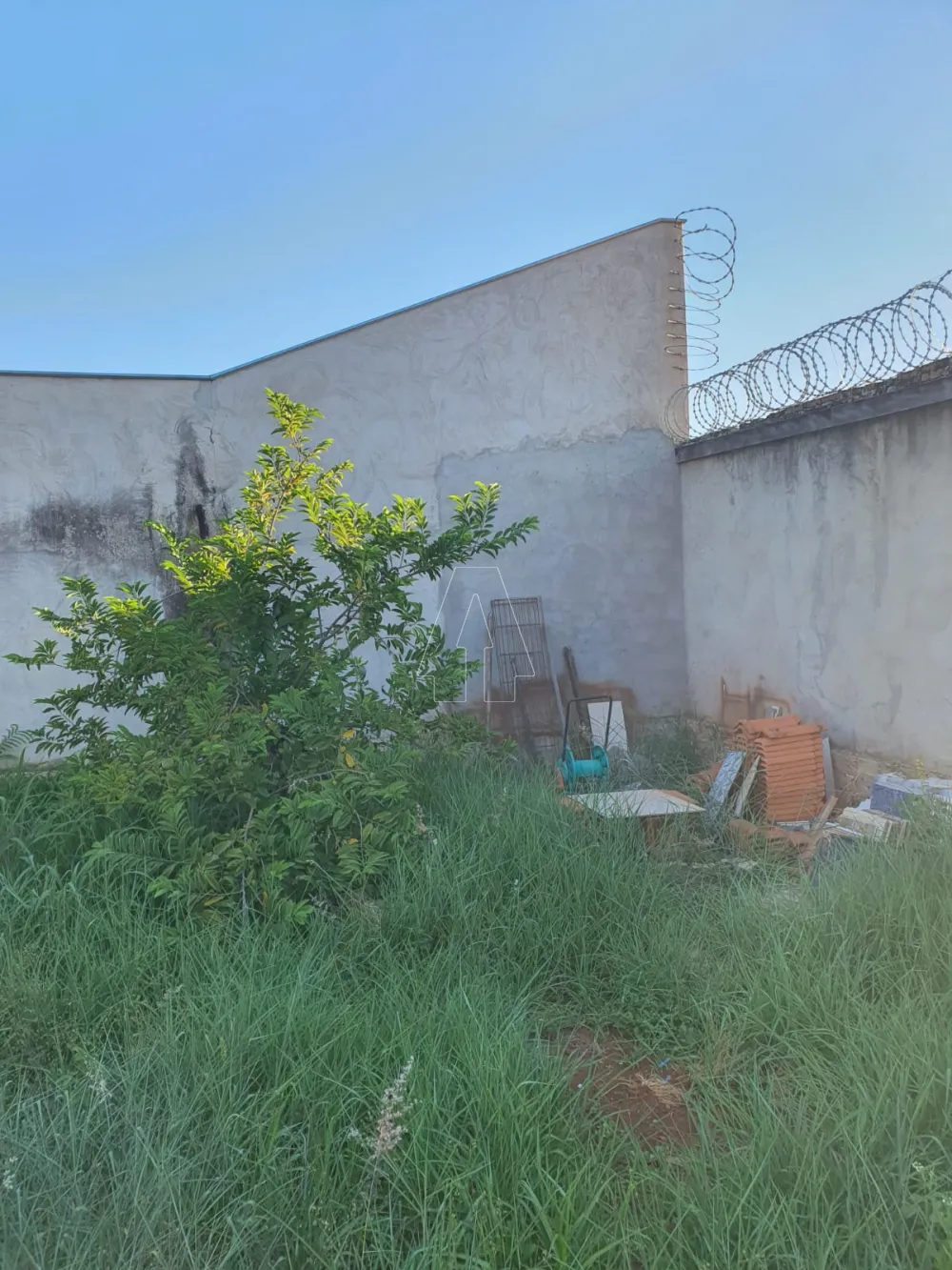 Comprar Terreno / Padr&atilde;o em Ara&ccedil;atuba R$ 150.000,00 - Foto 1