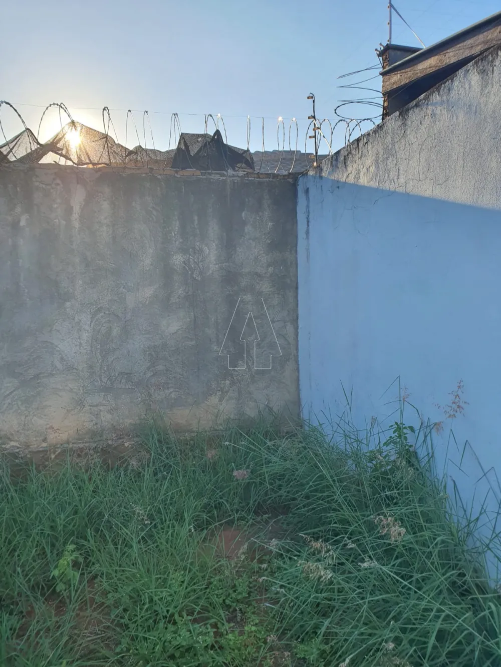 Comprar Terreno / Padr&atilde;o em Ara&ccedil;atuba R$ 150.000,00 - Foto 2