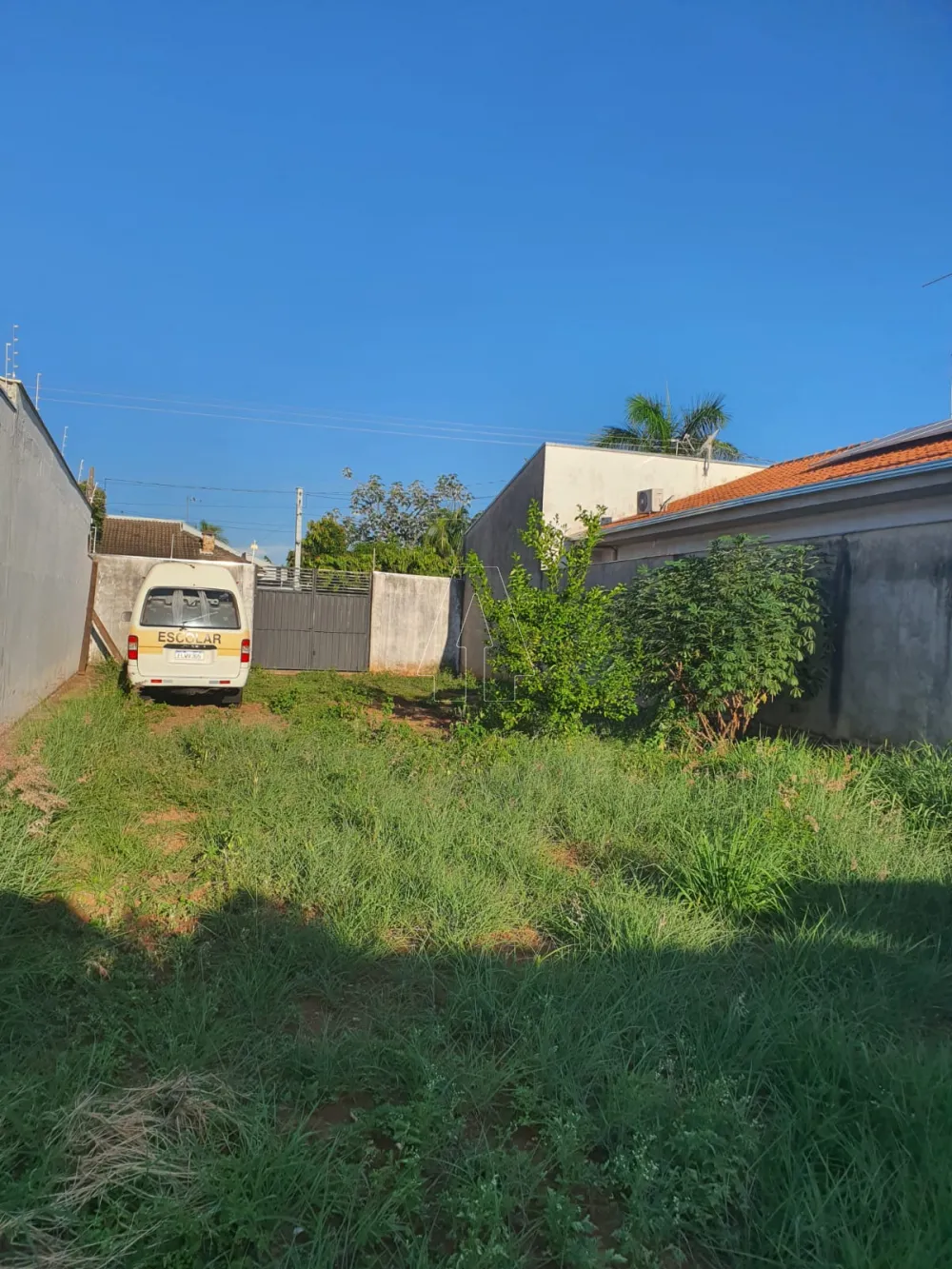 Comprar Terreno / Padr&atilde;o em Ara&ccedil;atuba R$ 150.000,00 - Foto 3