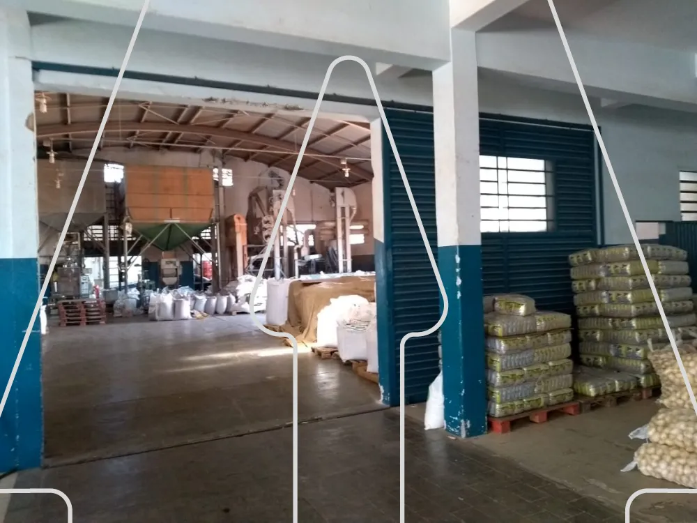 Alugar Comercial / Galp&atilde;o em Ara&ccedil;atuba R$ 15.000,00 - Foto 4