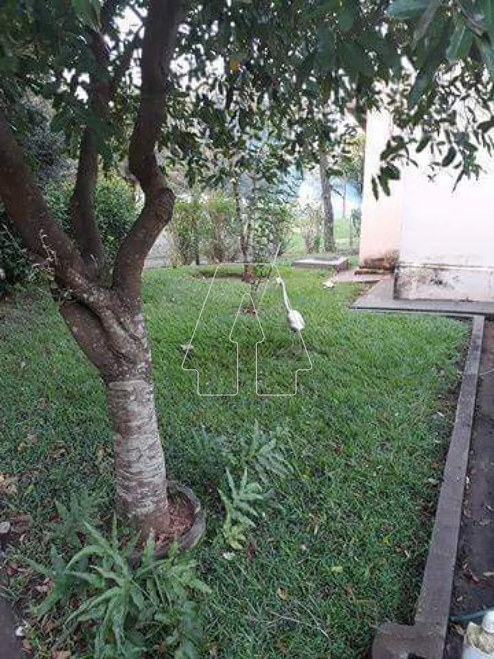 Comprar Rural / Rancho em Ara&ccedil;atuba R$ 750.000,00 - Foto 3