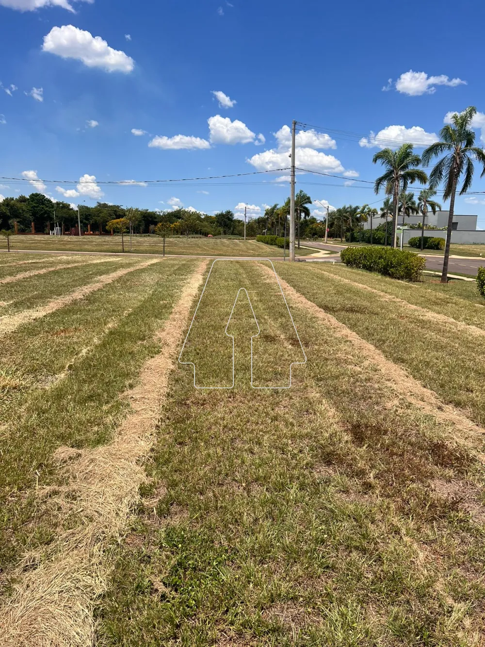 Comprar Terreno / Condom&iacute;nio em Ara&ccedil;atuba R$ 400.000,00 - Foto 5