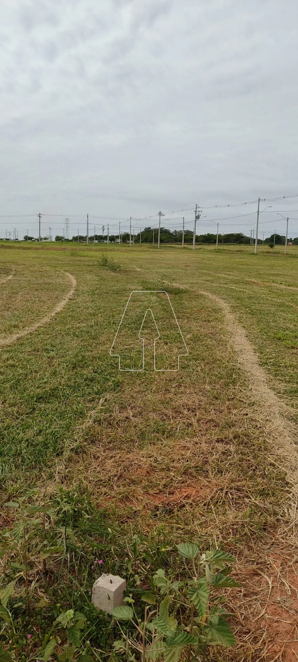 Comprar Terreno / Condom&iacute;nio em Ara&ccedil;atuba R$ 230.000,00 - Foto 6