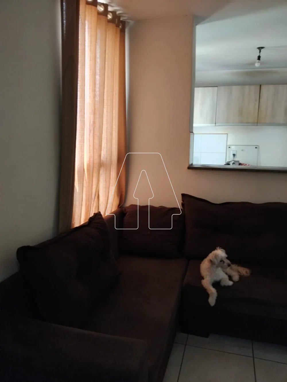 Comprar Apartamento / Padr&atilde;o em Ara&ccedil;atuba R$ 140.000,00 - Foto 6