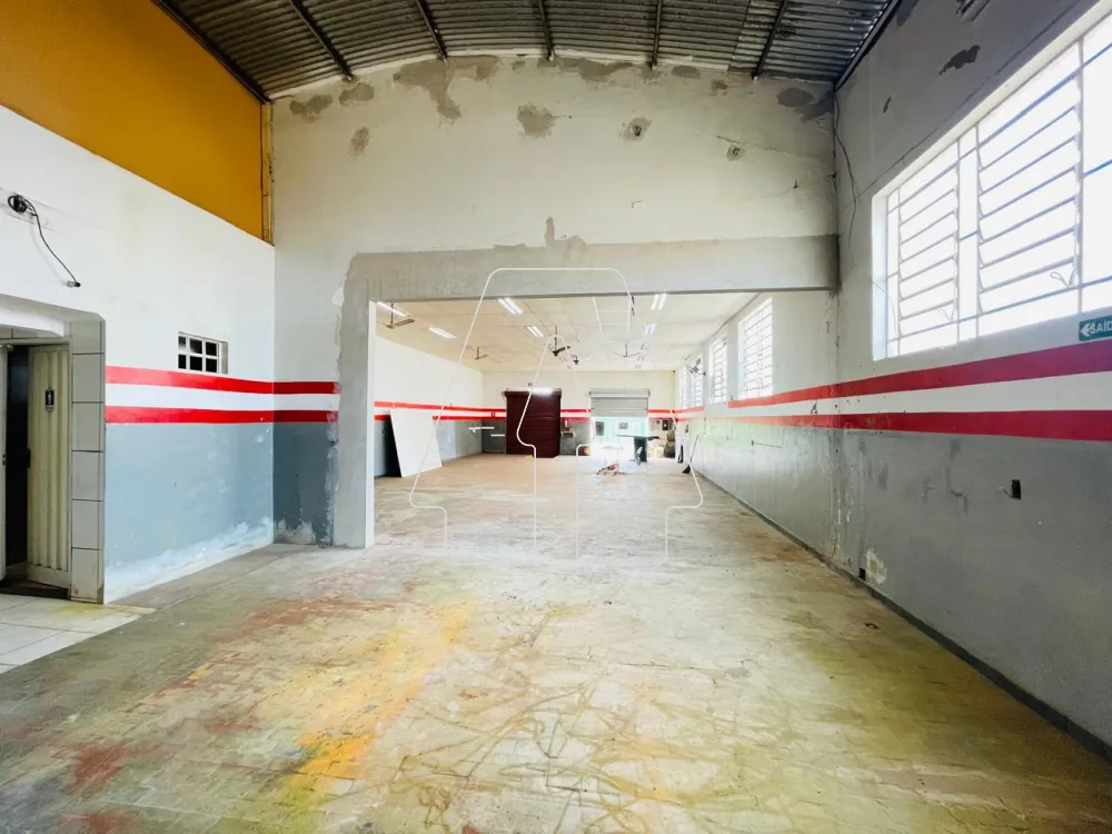 Comprar Comercial / Barrac&atilde;o em Ara&ccedil;atuba R$ 700.000,00 - Foto 4