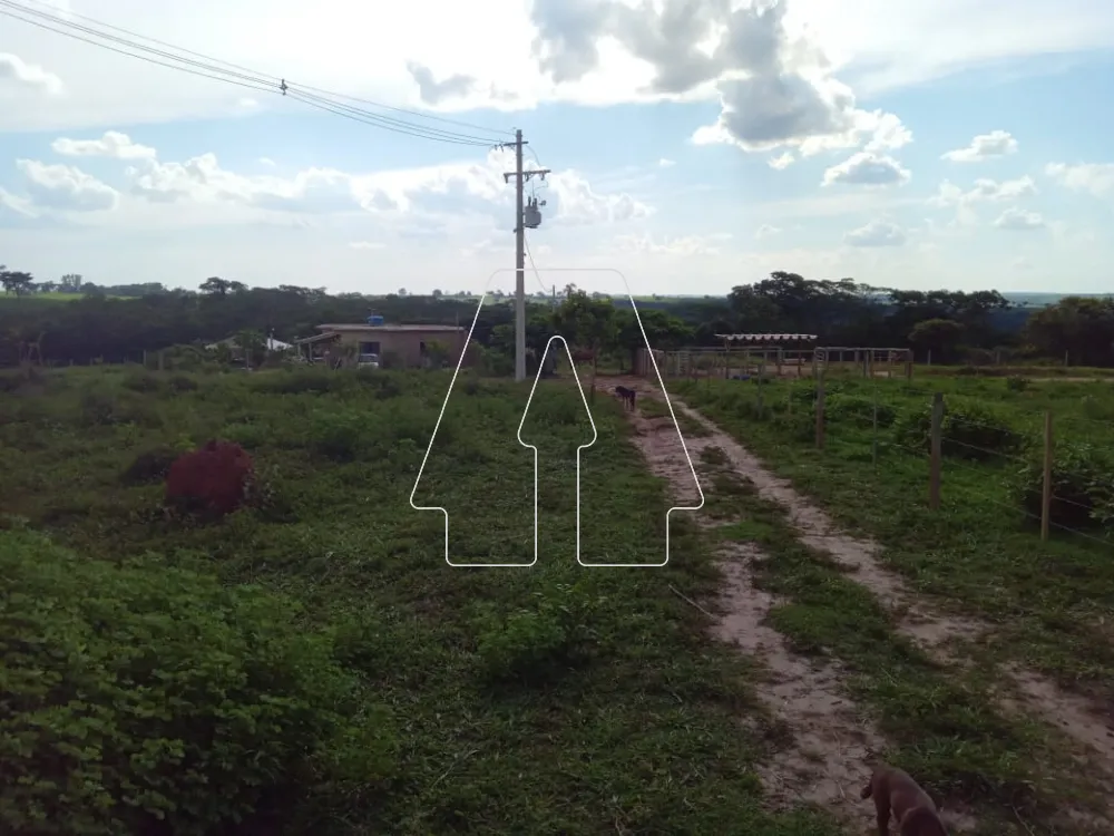 Comprar Rural / S&iacute;tio em Santo Ant&ocirc;nio do Aracangu&aacute; R$ 900.000,00 - Foto 4