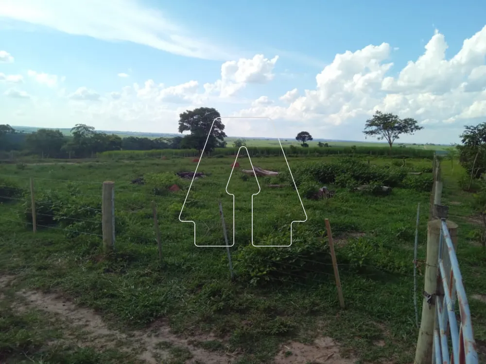 Comprar Rural / S&iacute;tio em Santo Ant&ocirc;nio do Aracangu&aacute; R$ 900.000,00 - Foto 5