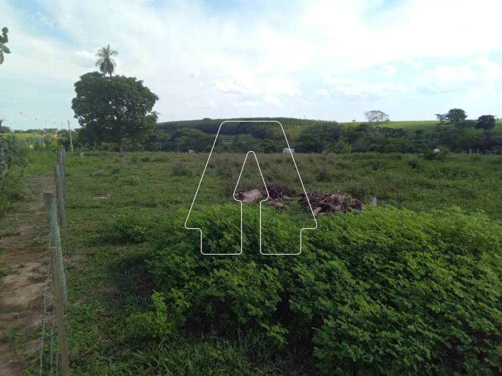 Comprar Rural / S&iacute;tio em Santo Ant&ocirc;nio do Aracangu&aacute; R$ 900.000,00 - Foto 6