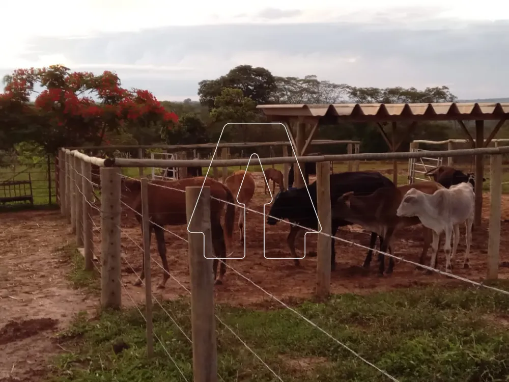 Comprar Rural / S&iacute;tio em Santo Ant&ocirc;nio do Aracangu&aacute; R$ 900.000,00 - Foto 8