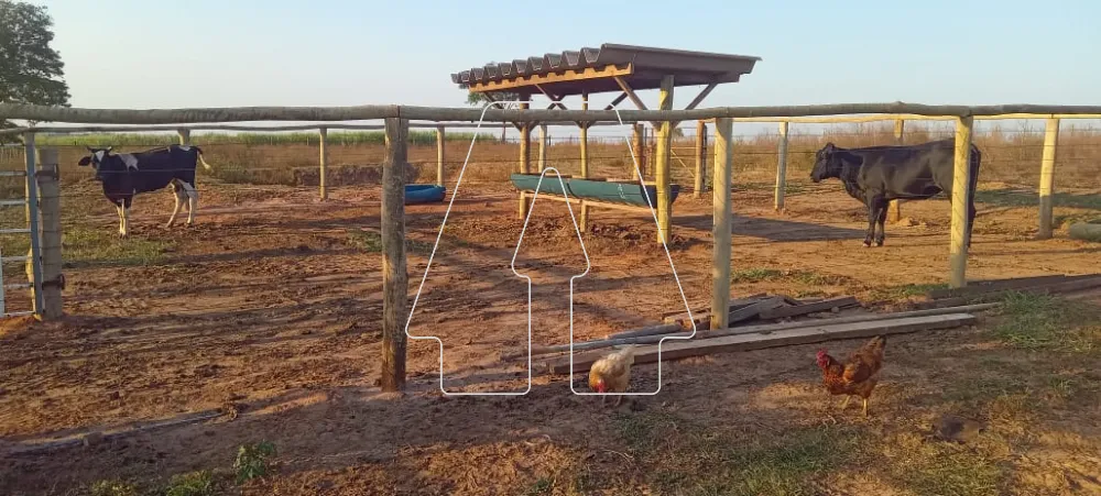 Comprar Rural / S&iacute;tio em Santo Ant&ocirc;nio do Aracangu&aacute; R$ 900.000,00 - Foto 9