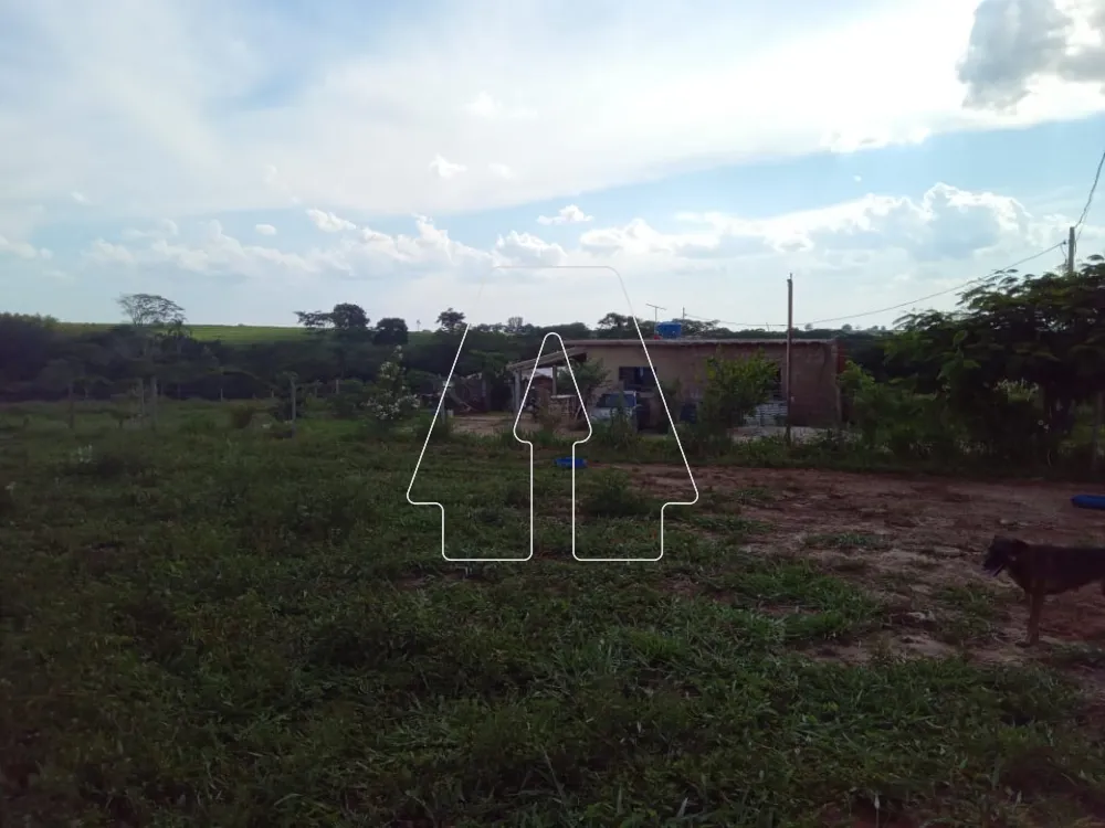 Comprar Rural / S&iacute;tio em Santo Ant&ocirc;nio do Aracangu&aacute; R$ 900.000,00 - Foto 7