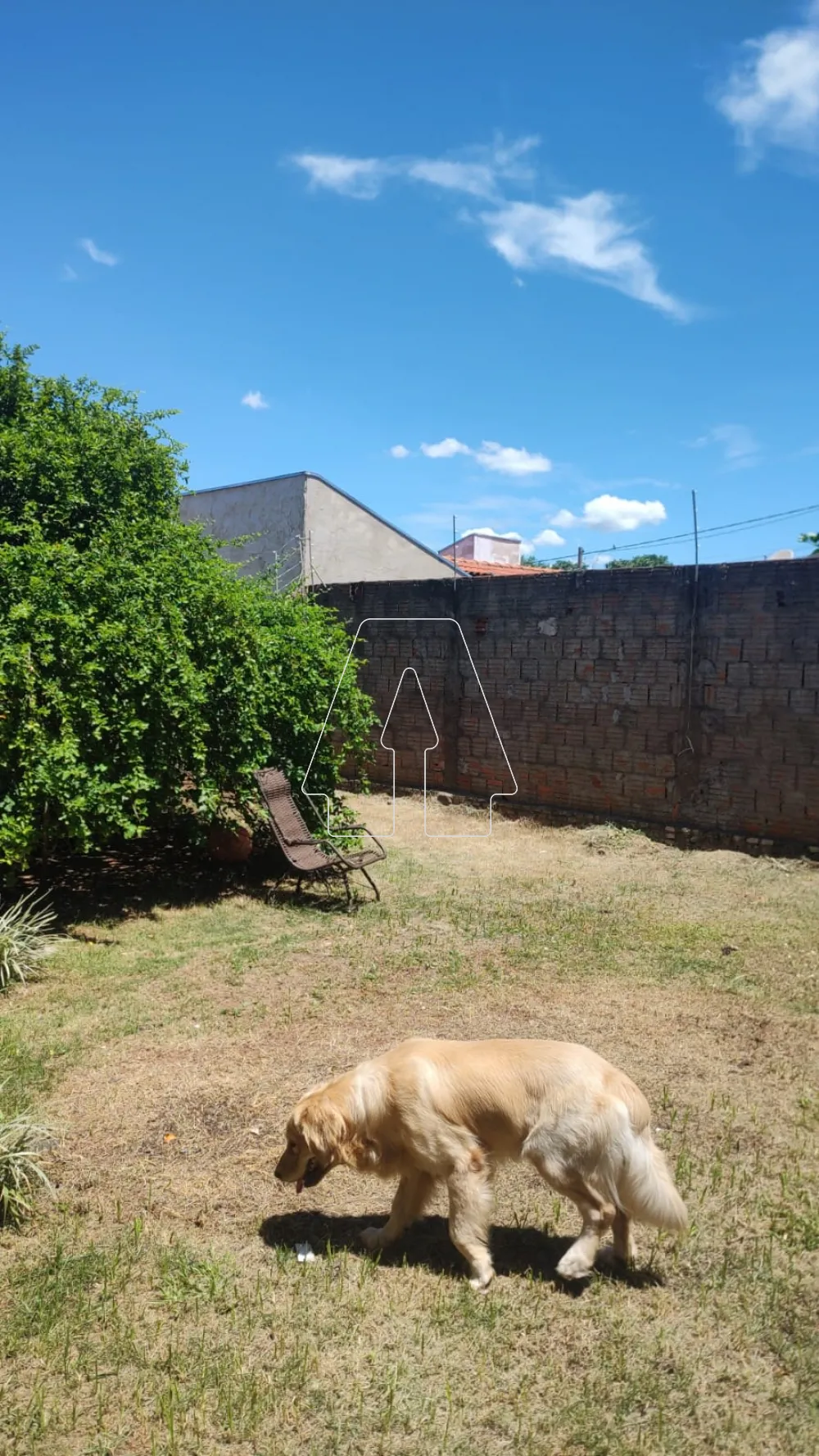 Comprar Casa / Residencial em Ara&ccedil;atuba R$ 260.000,00 - Foto 17