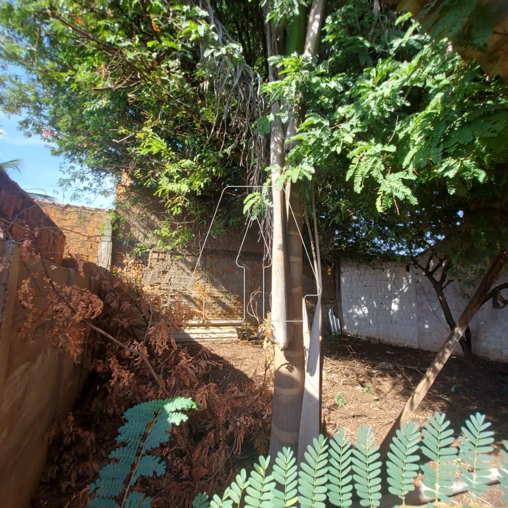 Comprar Casa / Residencial em Ara&ccedil;atuba R$ 110.000,00 - Foto 9