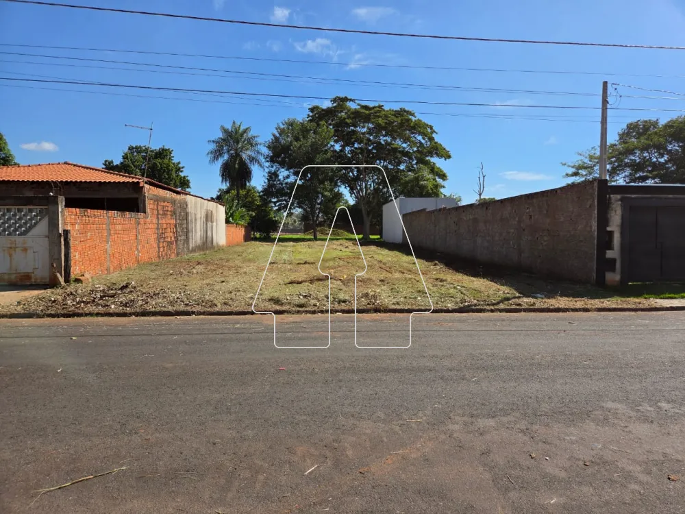 Comprar Terreno / Padr&atilde;o em Ara&ccedil;atuba R$ 70.000,00 - Foto 1