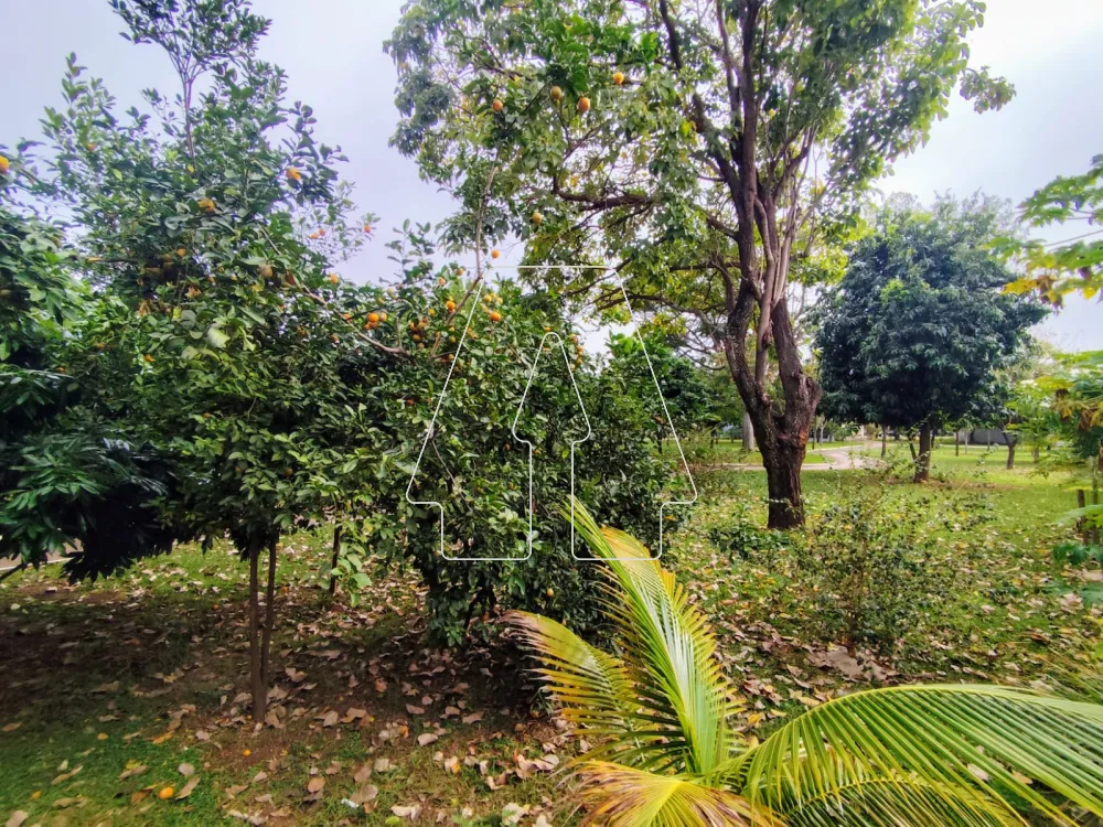 Comprar Casa / Condom&iacute;nio em Ara&ccedil;atuba R$ 1.450.000,00 - Foto 16