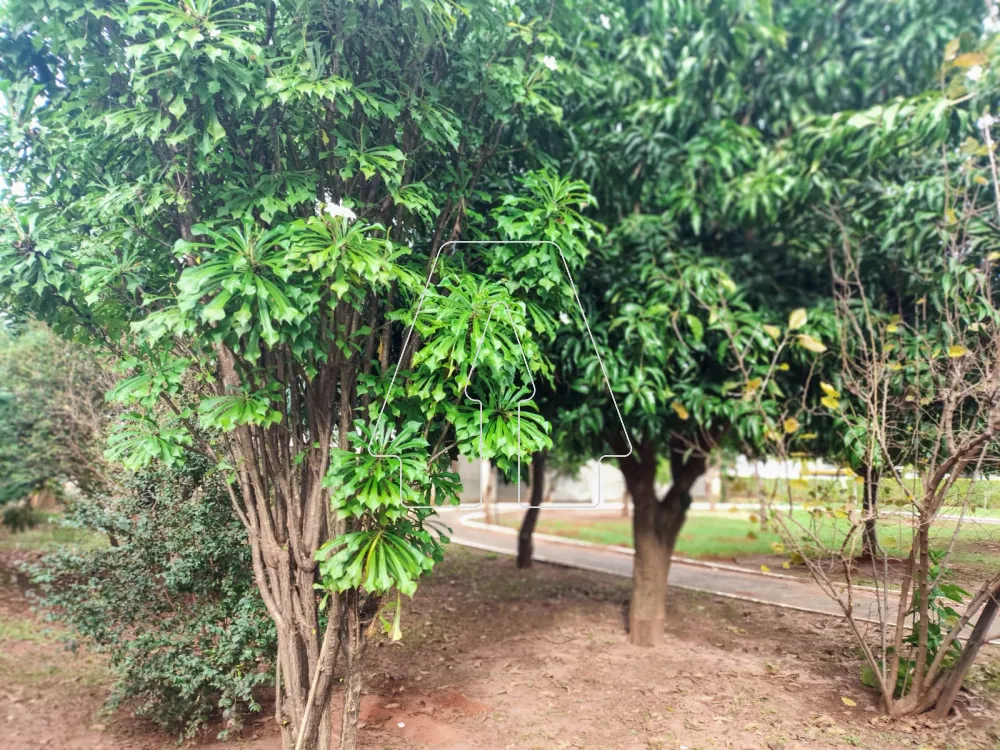 Comprar Casa / Condom&iacute;nio em Ara&ccedil;atuba R$ 1.450.000,00 - Foto 18