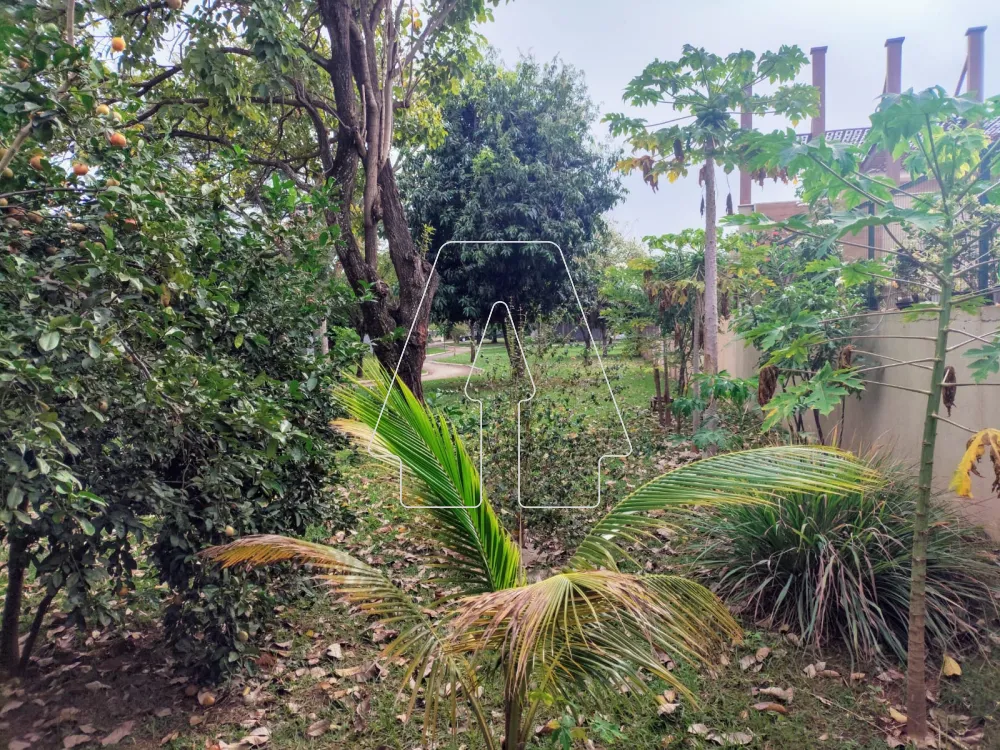 Comprar Casa / Condom&iacute;nio em Ara&ccedil;atuba R$ 1.450.000,00 - Foto 19
