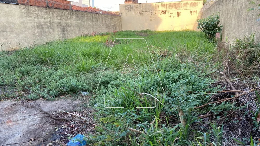 Comprar Terreno / Padr&atilde;o em Ara&ccedil;atuba R$ 240.000,00 - Foto 1
