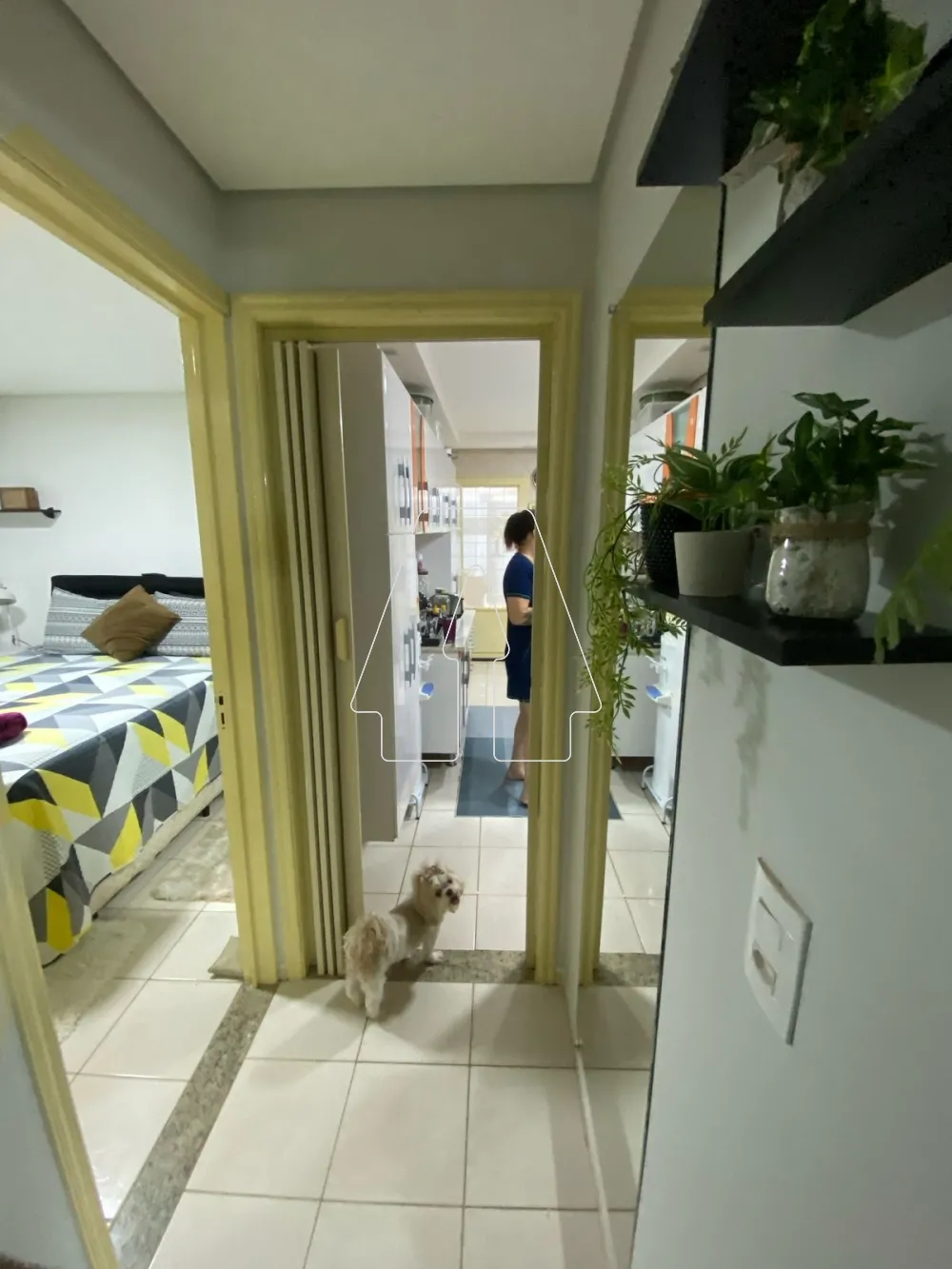 Comprar Casa / Residencial em Ara&ccedil;atuba R$ 300.000,00 - Foto 13