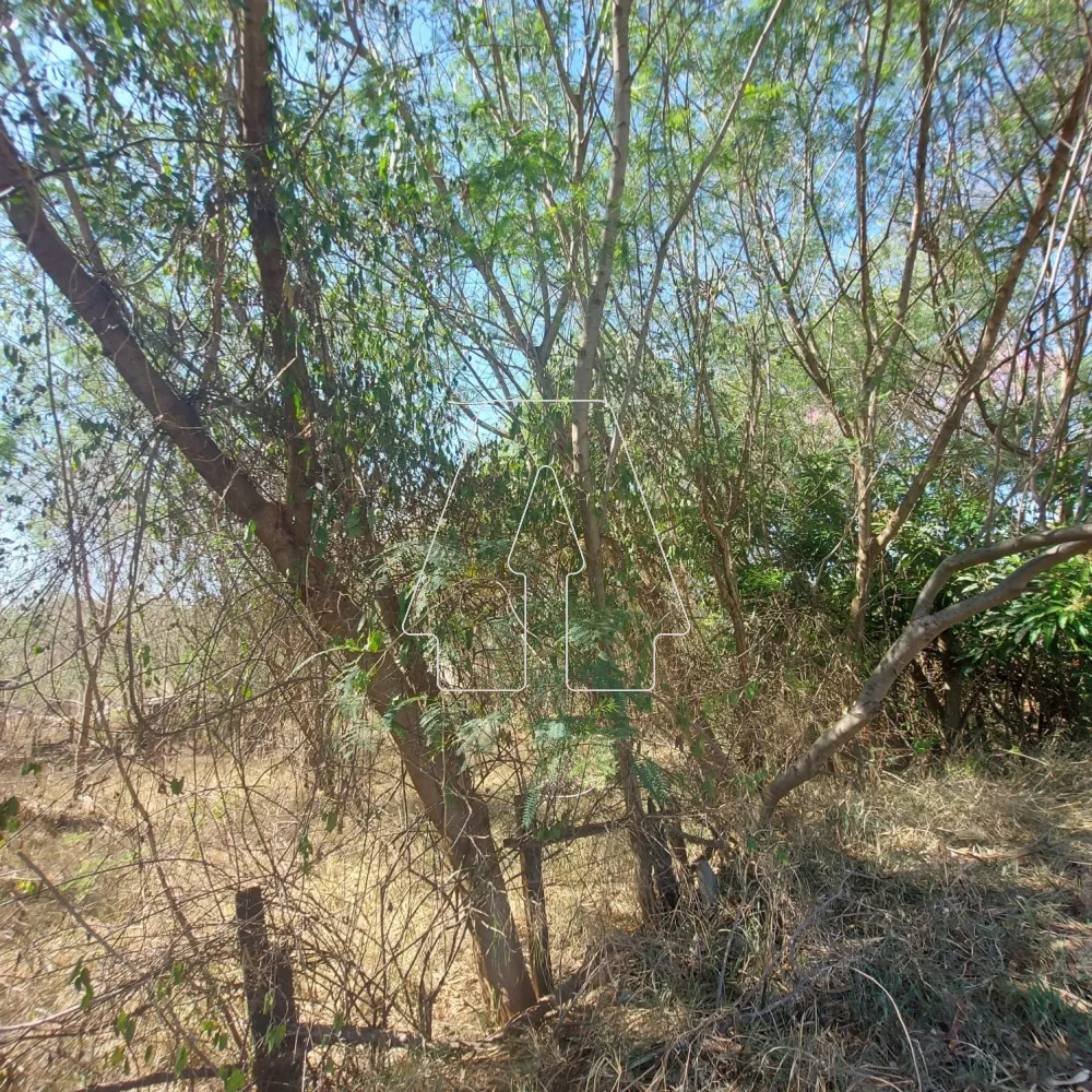 Comprar Terreno / &Aacute;rea em Ara&ccedil;atuba R$ 1.620.000,00 - Foto 3