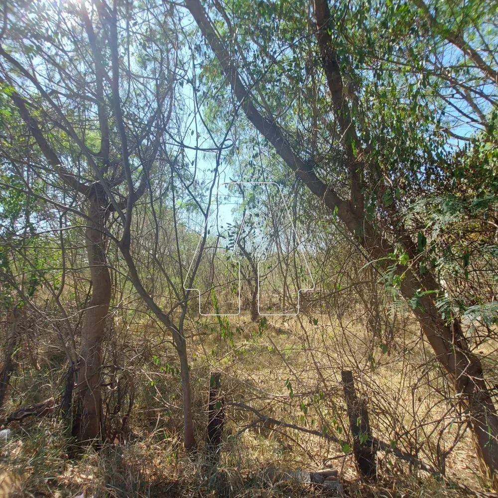 Comprar Terreno / &Aacute;rea em Ara&ccedil;atuba R$ 1.620.000,00 - Foto 4