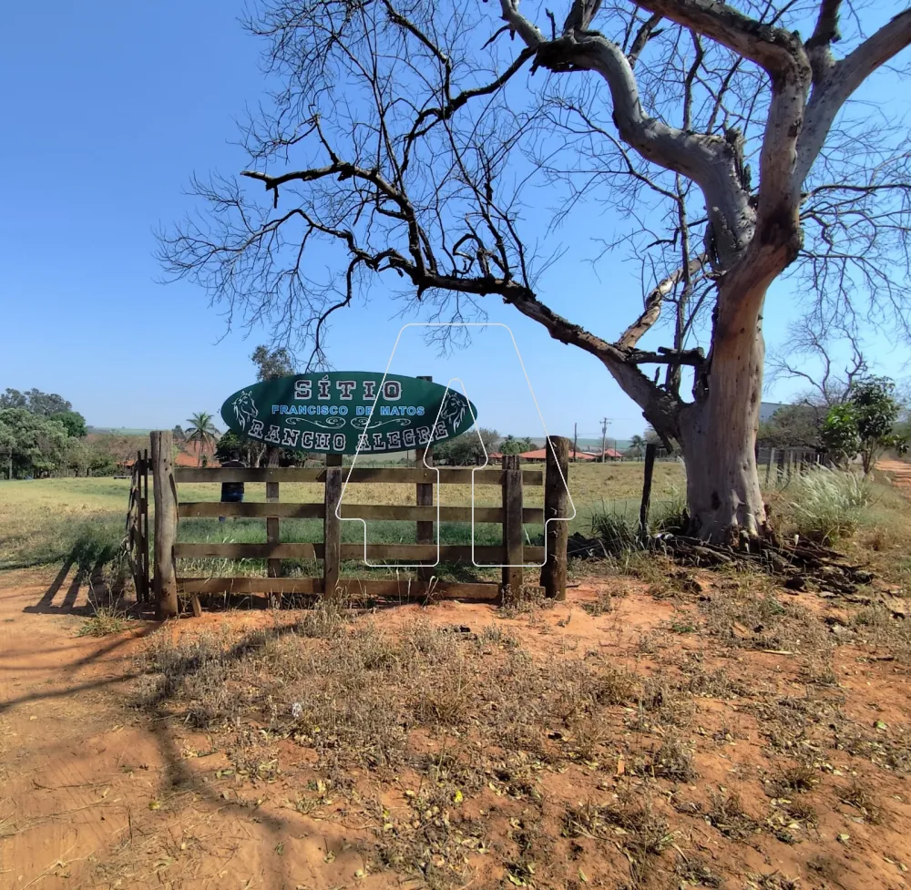 Comprar Rural / S&iacute;tio em Guararapes R$ 1.850.000,00 - Foto 1