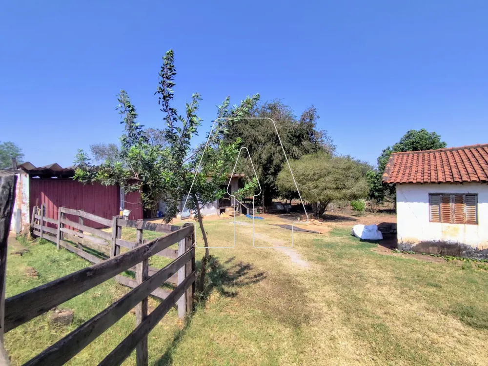 Comprar Rural / S&iacute;tio em Guararapes R$ 1.850.000,00 - Foto 3