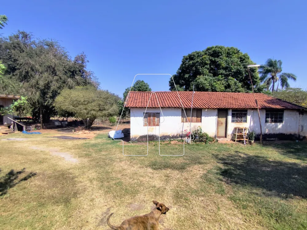 Comprar Rural / S&iacute;tio em Guararapes R$ 1.850.000,00 - Foto 4